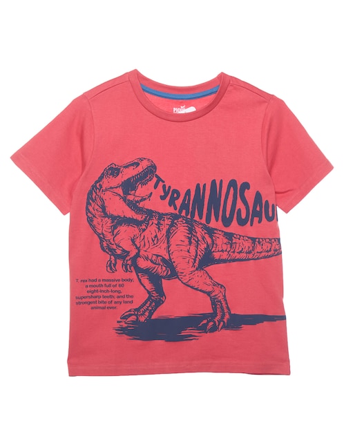 Playera Piquenique manga corta para niño