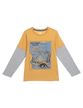 Playera Piquenique Manga Larga Para Niño