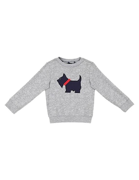 Sudadera Ferrioni Para Niño