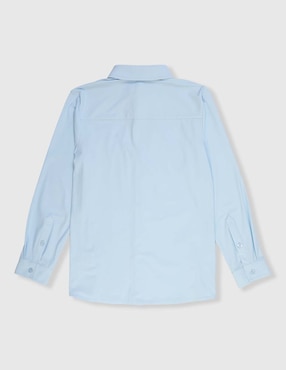 Camisa de vestir Piquenique Collection de algodón manga larga para niño