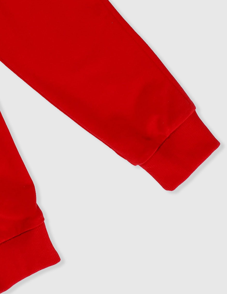 Pants jogger Sonic y Knuckles para niño 4